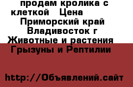 продам кролика с клеткой › Цена ­ 2 500 - Приморский край, Владивосток г. Животные и растения » Грызуны и Рептилии   